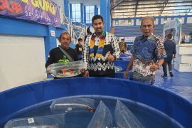 Ketua DPRD dorong pengembangan budidaya ikan Koi