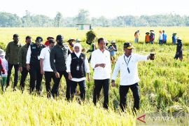 Kunjungan Presiden Joko Widodo di Ngawi