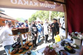 Banyuwangi gelar lomba kuliner olahan cokelat