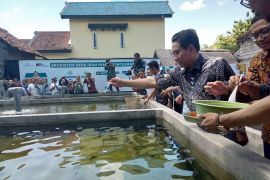 Pertumbuhan ekonomi Tulungagung naik jadi 5,22 persen