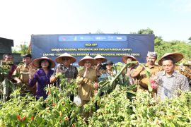 BI Jember gelar "GNPIP" stabilisasi inflasi pangan di Banyuwangi