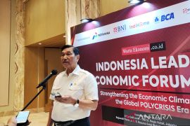 Luhut gandeng Singapura kembangkan industri panel surya