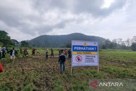 Perhutani kembali buka Rancaupas pasca-ditutup karena kerusakan lahan