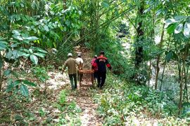 Monyet liar di Lombok Timur gigit warga, petugas pasang jebakan