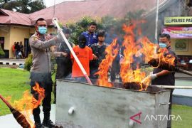 Polres Pasaman Barat Barat musnahkan barang bukti narkotika