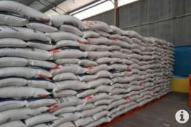 Pemda Paser siapkan 80 ton beras siaga bencana