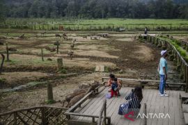 Wisata Ranca Upas kembali dibuka