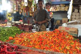 Jelang Ramadhan, harga cabai rawit di  Jember meroket
