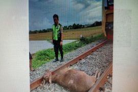 Masyarakat Maros Sulawsi Selatan minta pengamanan lintasan kereta api