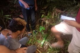 Pencuri sarang walet di Balangan diringkus polisi