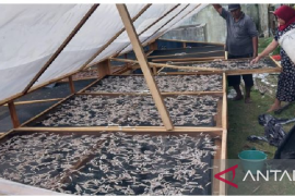 Pemkab Aceh Jaya kenalkan alat pengering ikan dan rebon tenaga surya ke nelayan