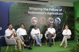 Dukung ketahanan pangan, Syngenta wujudkan ekosistem pertanian