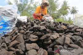 DLHK: Pembersihan batu bara di pantai Aceh Barat ditanggung perusahaan tambang Mifa Bersaudara