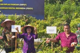 Perumda Buleleng tambah pasokan cabai cegah inflasi