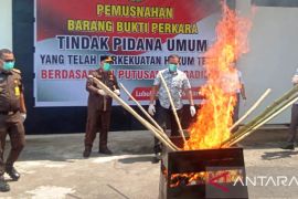 Kejari Agam musnahkan barang bukti narkotika yang kasusnya telah inkracht