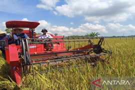 Bupati Sumenep pastikan stok beras aman selama Ramadhan