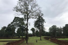 Lahan 30 ha dibebaskan untuk pusat pendidikan KCBN Candi Muaro Jambi