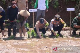 Distan Sukabumi berupaya tingkatkan minat kaum muda menjadi petani
