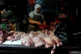 Kenaikan Harga Ayam Potong Jelang Ramadhan Page 1 Small