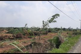 Terungkap, lahan HGU 103 PTPN2 Kebun Bulu Cina diperjualbelikan