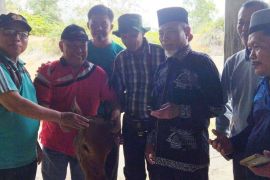 Bupati Merangin Mashuri sambut Ramadhan 1444 H bersama PKJM