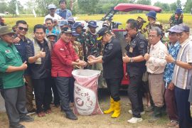 Petani Banyuasin panen raya padi rawa lebak bersama Irjen Kementan