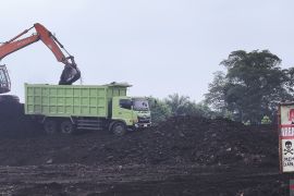 Seorang pekerja tewas tertimpa truk batubara