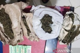 Polisi ringkus dua pemuda Bener Meriah karena kasus narkoba