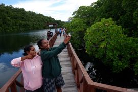 Waropen gelar Festival Hutan Bakau pada Mei 2025