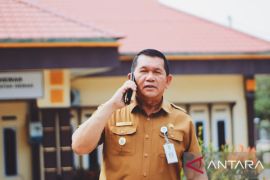 1.800 ekor sapi dikirim dari NTT untuk penuhi kebutuhan warga Batam