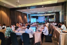 Kemenko Marves - PLN gelar FGD rehabilitasi lahan bekas tambang