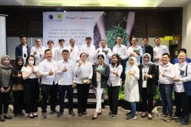 Kemenko Marves dan PT PLN (Persero) Laksanakan FGD untuk Rehabilitasi Lahan Bekas Tambang