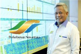 Holding Perkebunan Nusantara PTPN III bentuk subholding sawit