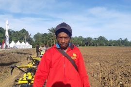 Warga ingin food estate Keerom tingkatkan ekonomi keluarga