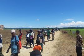 Ratusan warga antusias menyambut kedatangan Presiden Jokowi di lokasi food estate