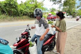 MCC bagi 258 anakan pohon gratis untuk warga  di hari Hutan Sedunia