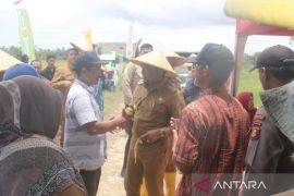 Bupati Penajam larang petani alihfungsikan lahan persawahan