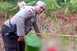 Polisi selidiki penemuan potongan mayat bayi di jalan lingkar Mupa