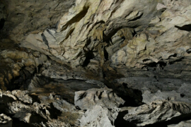 Peneliti temukan 35 gua di Gunung Batu Benau  Kaltara-Kaltim