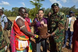 FAO serukan  perlindungan hutan global