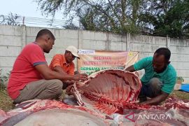 Puluhan anak yatim di Lhokseumawe dapat bantuan daging meugang