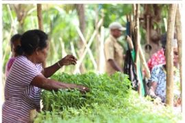 Sensus Pertanian 2023 untuk menghasilkan satu data yang berkualitas