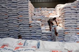 Panen raya impor, dan harga beras wajar