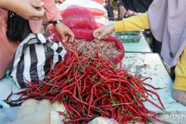 Ketersediaan bahan pokok di Tanah Datar terpantau aman dan harganya relatif stabil