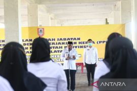 Pemprov Kalsel alokasikan Rp36 miliar untuk kesejahteraan P3K