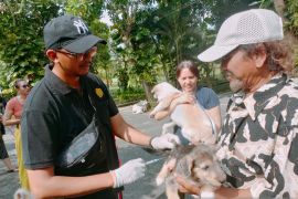 Denpasar vaksinasi rabies di desa/kelurahan mulai April 2023