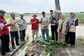 Pemkab Bekasi salurkan bantuan benih dari Kementan