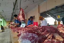 Harga daging sapi dan ayam potong di Ternate  bertahan