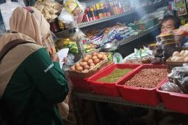 BPS lakukan Pendataan Survei Rutin Distribusi, ini manfaatnya