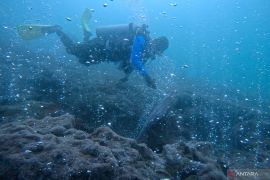 Geliat wisata selam Sabang usai "terkurung" pandemi